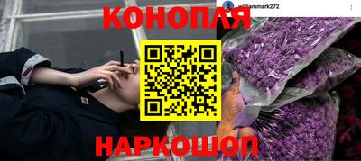 ALPHA PVP Бугуруслан