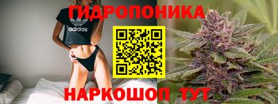 стаф Бузулук