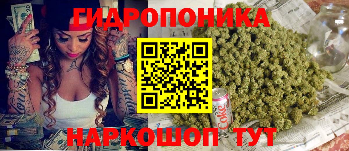 Марихуана планчик  Шишки марихуана OG Kush  Кувандык  Вход с VPN  МАРИХУАНА план 